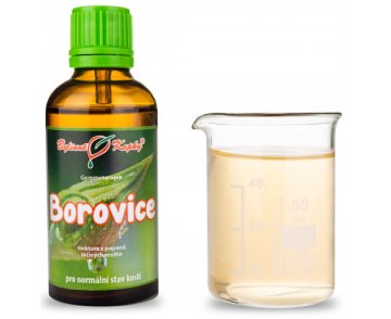 Borovica - tinktúra z púčikov (gemmoterapia) 50 ml
