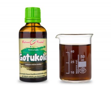 Gotukola (gotu kolesa) - bylinné kvapky (tinktúra) 50 ml
