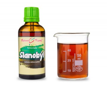 Slanobyl - bylinné kvapky (tinktúra) 50 ml
