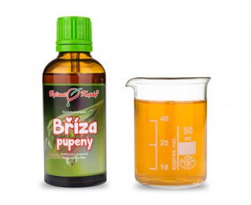 Breza - tinktúra z púčikov (gemmoterapia) 50 ml