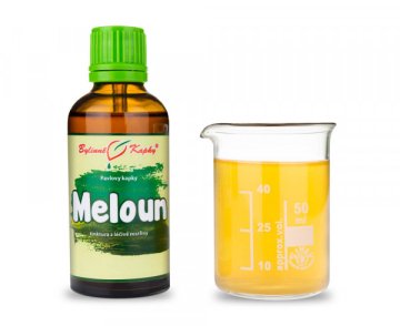Melón - bylinné kvapky (tinktúra) 50 ml