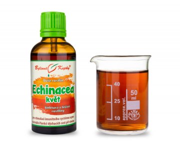 Echinacea (echinacea) kvet (kvapky Duša rastlín - tinktúra) 50 ml