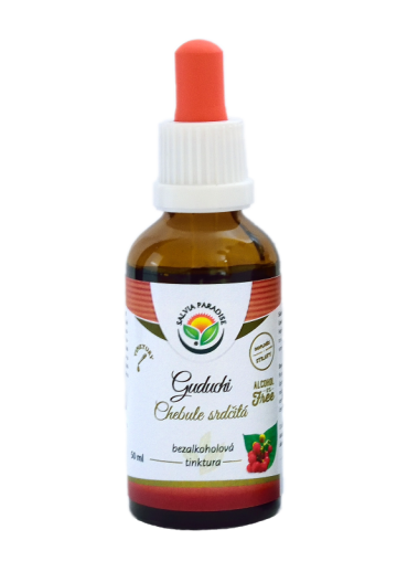 Guduchi - Chebule srdčitá AF tinktúra 50 ml od Salvia Paradise