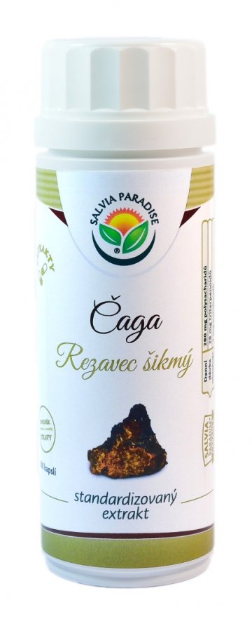 Čaga - rezavec šikmý štandardizovaný extrakt kapsle 100 ks od Salvia Paradise