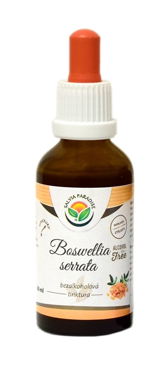 Boswellia serrata - Kadidlovník AF tinktúra 50 ml od Salvia Paradise