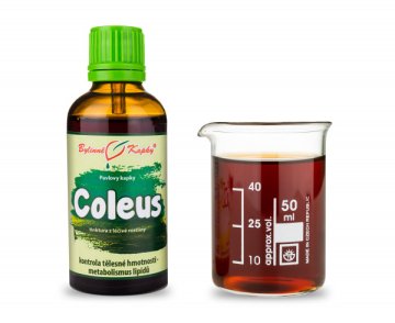 Coleus - bylinné kvapky (tinktúra) 50 ml