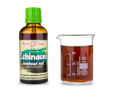 Echinacea (echinacea) kvitnúca vňať (bylinné kvapky - tinktúra) 50 ml