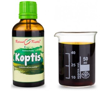 Koptis (TCM) - bylinné kvapky (tinktúra z koptisu) 50 ml