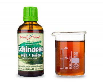 Echinacea (echinacea) kvitnúca vňať + koreň (bylinné kvapky - tinktúra) 50 ml