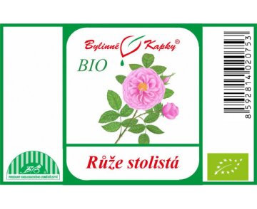 Ruža stolistá BIO - bylinné kvapky (tinktúra) 50 ml