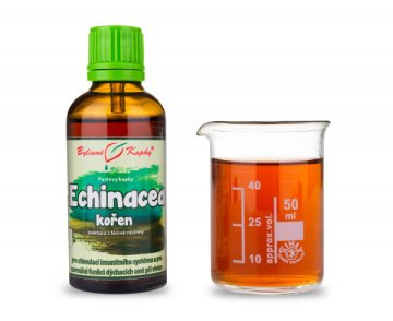 Echinacea (echinacea) koreň (bylinné kvapky - tinktúra) 50 ml