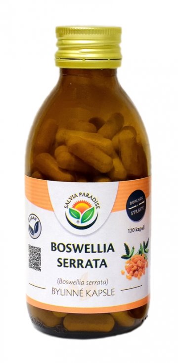 Boswellia serrata - kadidlovník kapsule 120 ks od Salvia Paradise