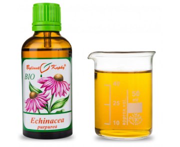 Echinacea purpurea (echinacea purpurová) BIO - bylinné kvapky (tinktúra) 50 ml