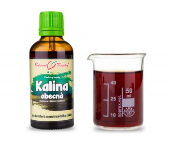 Kalina obyčajná - bylinné kvapky (tinktúra) 50 ml